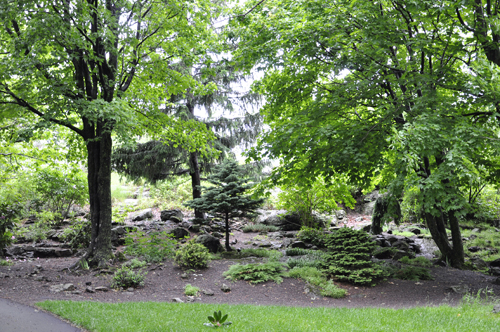 landscape at Enger Park in Duluth MN